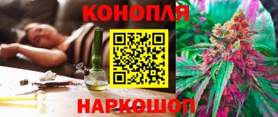стаф Будённовск