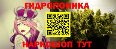 стаф Будённовск