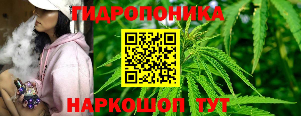 Каннабис план Сосновоборск